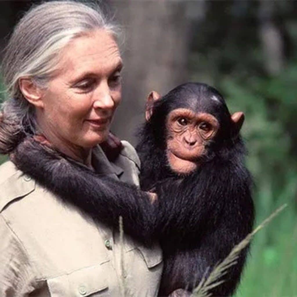 Jane Goodall Death
