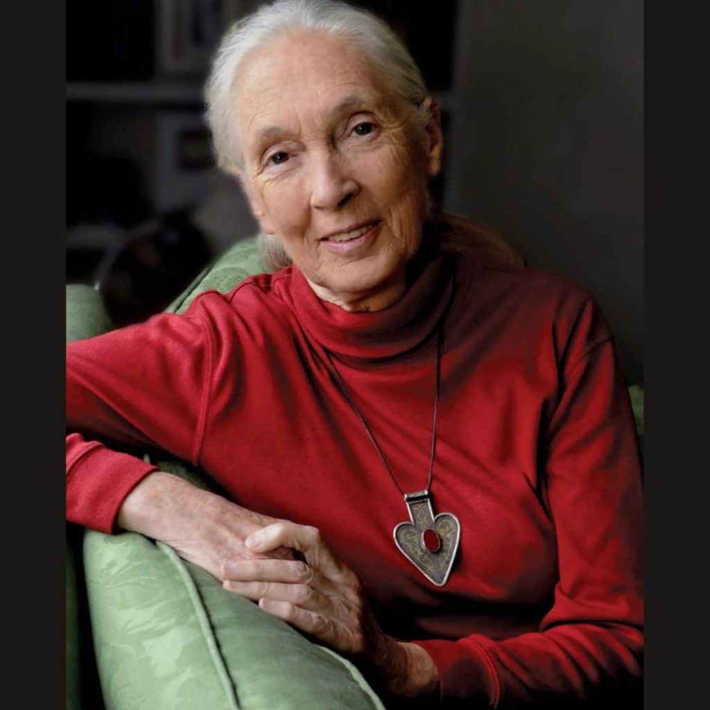 Jane Goodall Death