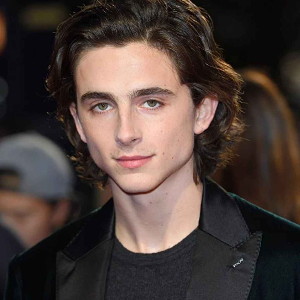 Timothée Chalamet net worth